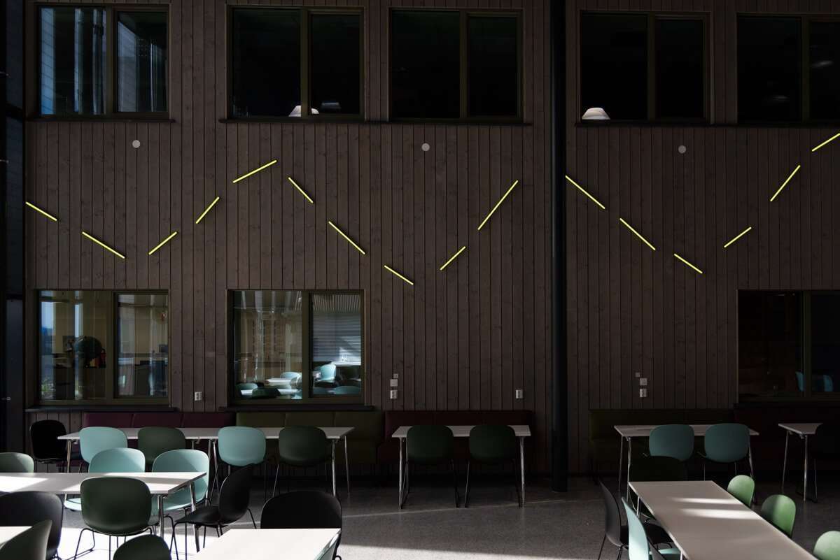 Highlighter-Lina_Selander-7